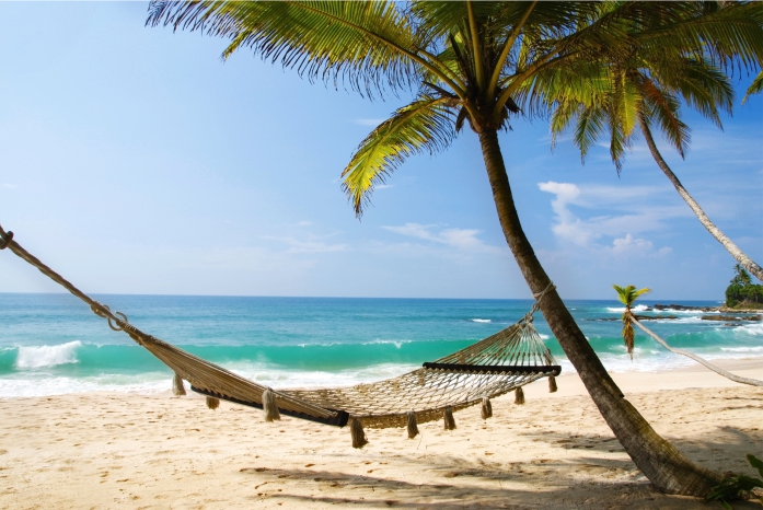 Tropical Beach Escape